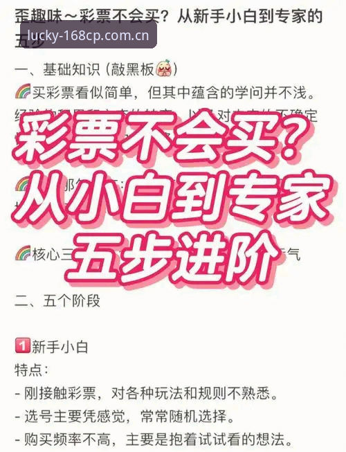 168彩票平台官方下载详解：新手必看操作指南